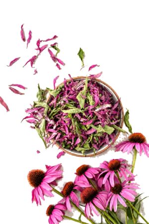 Echinaceea 50 g